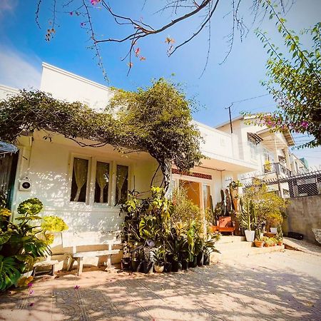 Hat De Homestay Da Lat Zewnętrze zdjęcie