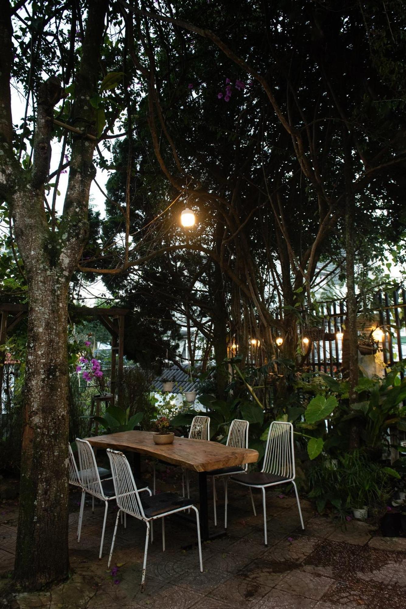 Hat De Homestay Da Lat Zewnętrze zdjęcie