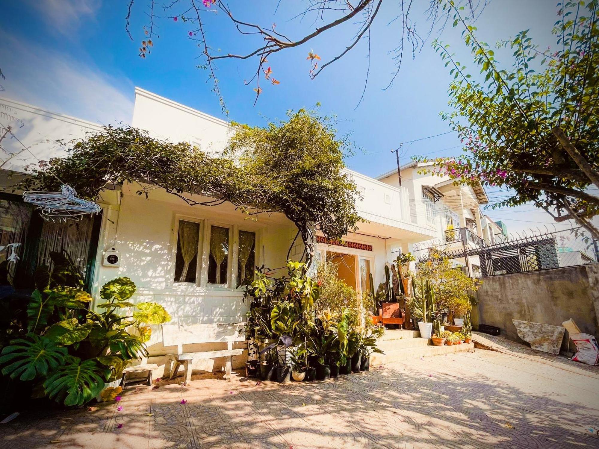 Hat De Homestay Da Lat Zewnętrze zdjęcie