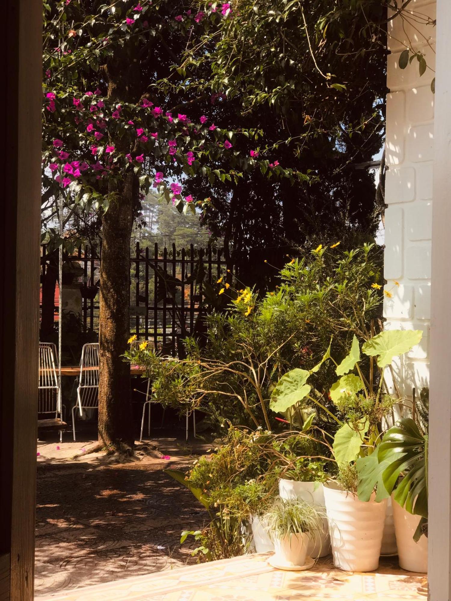 Hat De Homestay Da Lat Zewnętrze zdjęcie