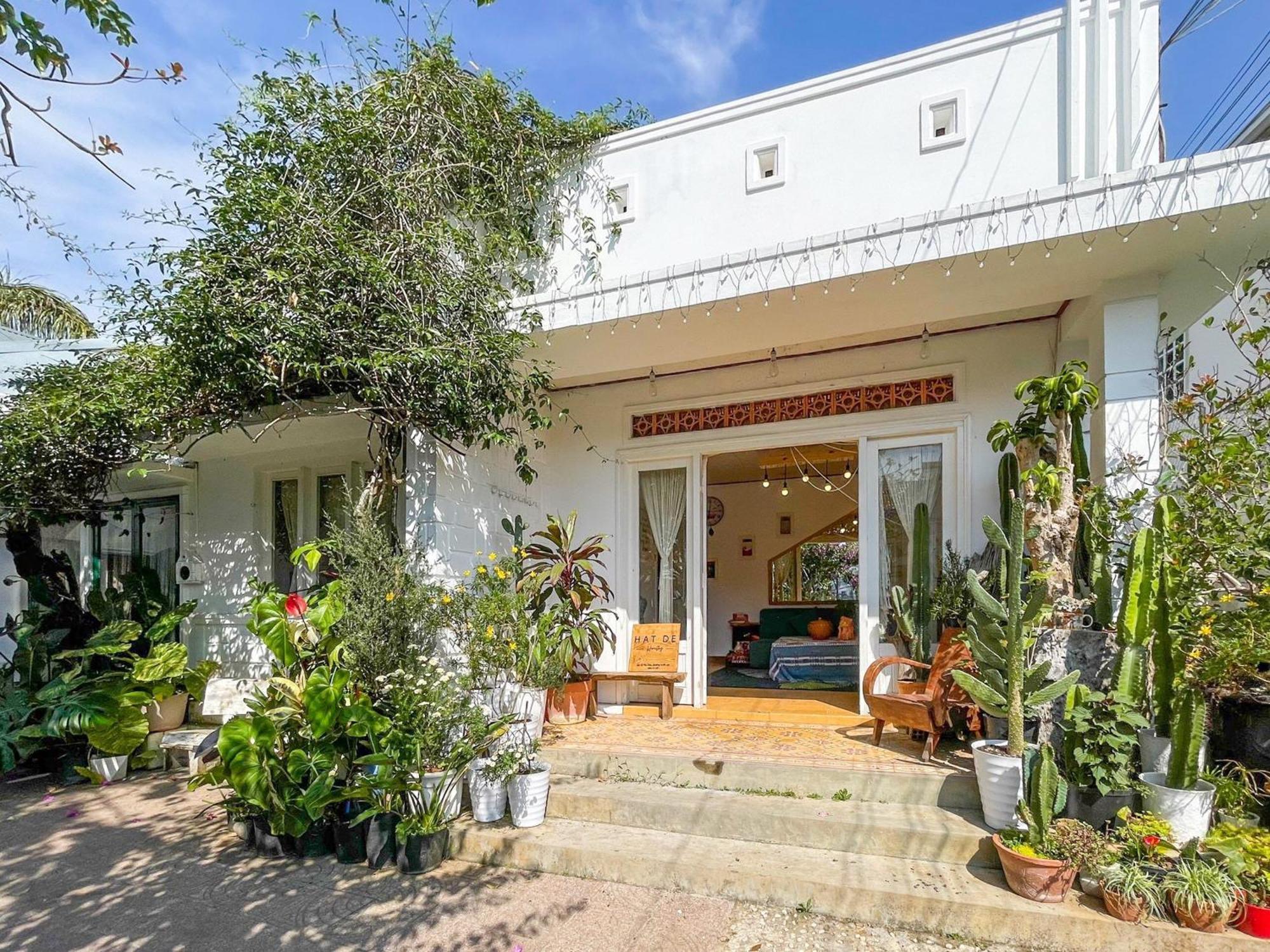 Hat De Homestay Da Lat Zewnętrze zdjęcie