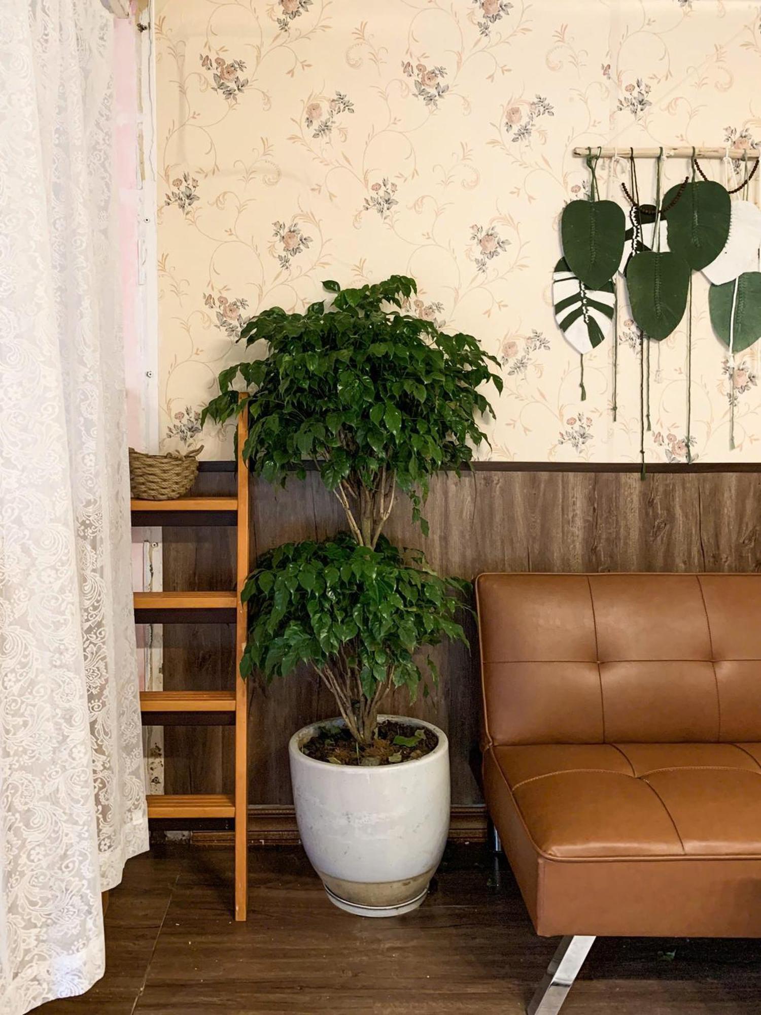 Hat De Homestay Da Lat Zewnętrze zdjęcie